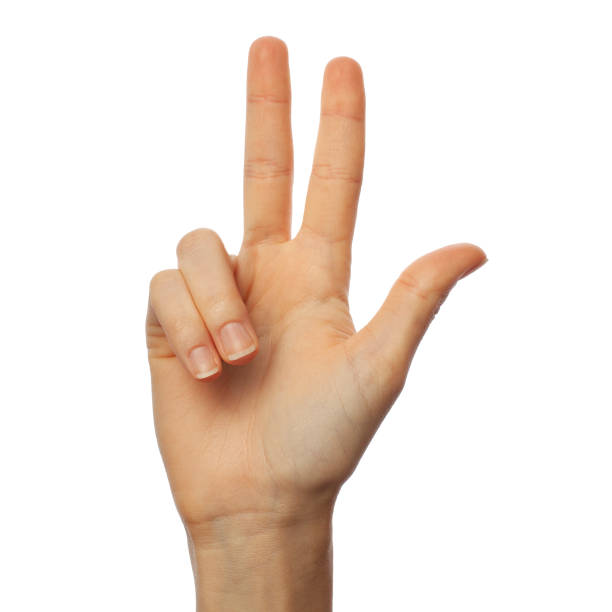 istock Finger spelling number 3 on white background. American Sign Language concept 1182201642