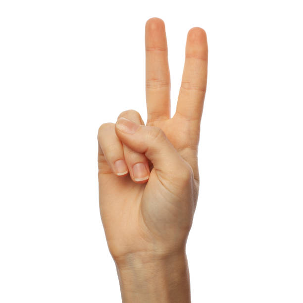 istock Finger spelling number 2 on white background. American Sign Language concept 1182201643