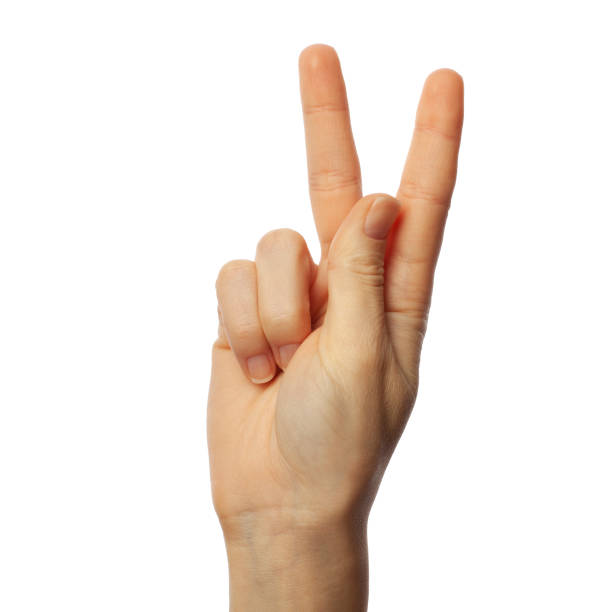 istock Finger spelling letter K in ASL on white background. American Sign Language concept 1182201659