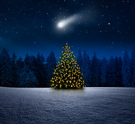 Luminous Christmas tree in the snow at night on Christmas Eve