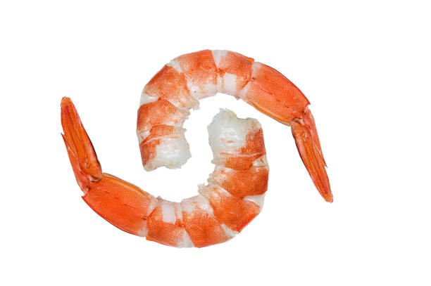 istock Pair of cooked shrimps isolated on white 1182203972