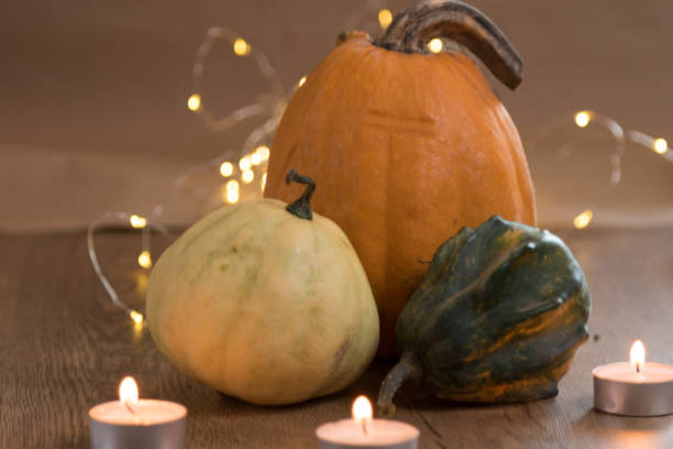 istock Thanksgiving pumpkins with some bokeh light effect in the background 1182203990