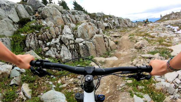 istock Female mountain biker follows friend down trail 1182204798