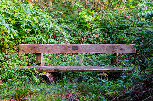 An old faded wooden park bench in the sun.