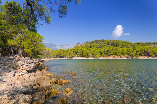 istock Ruins of the ancient Phaselis city 1182207059