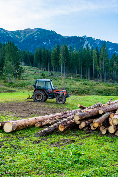 Lysa Polana, Slovakia - September 16, 2019: A tractor (Zetor 7245) that helps lumber cut trees to the valley.