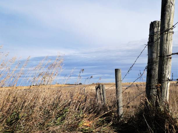 istock Tall Prairie Grass Blowing in the Wind Next to a Barbed Wire Fence 1182207213