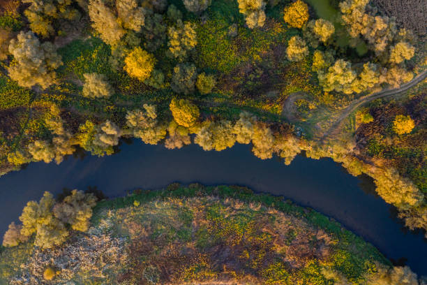 istock agriculture land drone view 1182207360