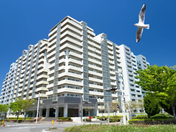 istock High-rise apartment and seagull 1182208820