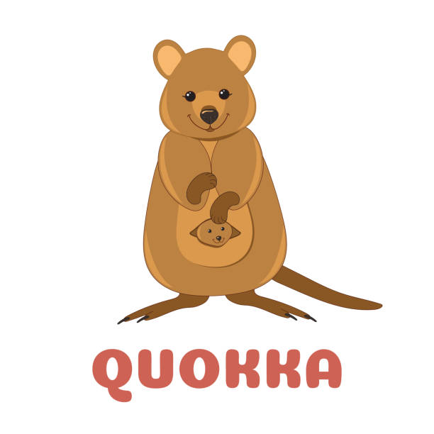160 Quokka Isolated Illustrations & Clip Art - iStock 160 Quokka Isolated Illustrations & Clip Art - iStock