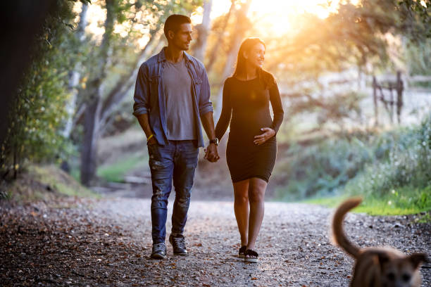 beautiful pregnant couple relaxing with a walk in the park at sunset. - couple human pregnancy sunset walking imagens e fotografias de stock