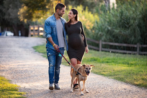 happy pregnant couple looking each other while walking with dog in the park. - couple human pregnancy sunset walking imagens e fotografias de stock