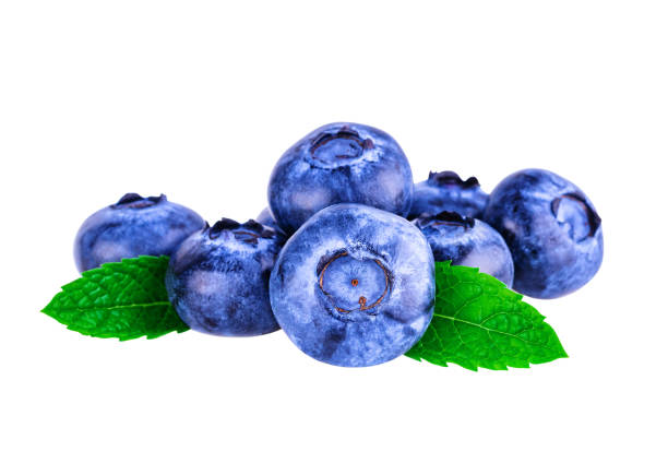 istock Blueberry. Heap of blueberries with mint leaf on white. Image included clipping path 1182213982