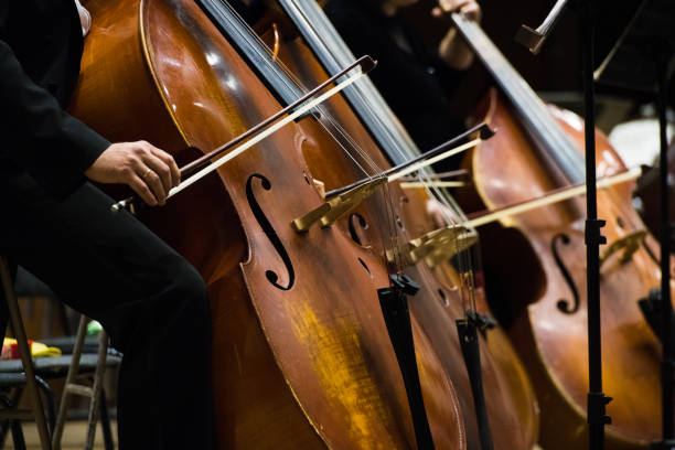 istock Violinist playing violin close up 1182214888