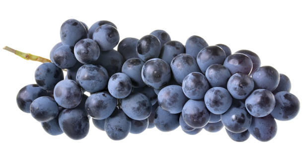 istock Ripe bunch of blue grapes isolated 1182214935