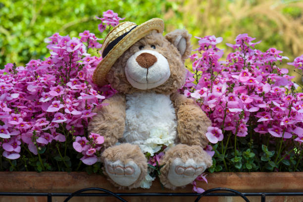 a flower box full of flowers, teddy bear with sun hat