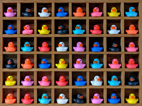 Different colored rubber ducks sit in wooden pigeon hole compartments. Concept image regarding different ethnicity/gender people living together in harmony together in the same social environment, getting along together, living side by side.