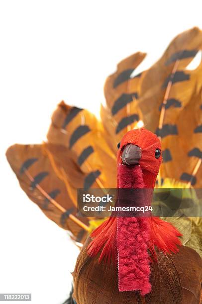 La Turchia - Fotografie stock e altre immagini di Animale - Animale, Animale maschio, Arancione