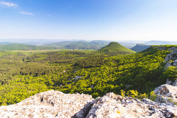 istock Forest view from the mountain during sunset. 1182221320