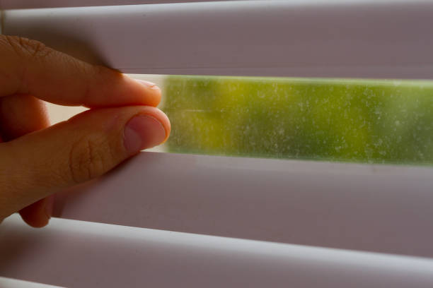 istock Hand open the jalousie. 1182222557