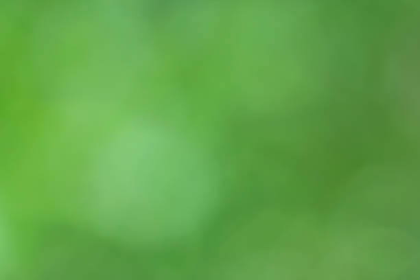 istock Blur green background, fresh natural soft focus 1182223871