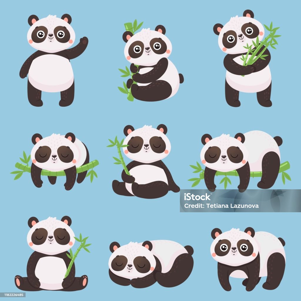 Cartoon Panda Kids Little Pandas Funny Animals With Bamboo And Cute  Sleeping Panda Bear Vector Illustration Set Stock Illustration - Download  Image Now - iStock