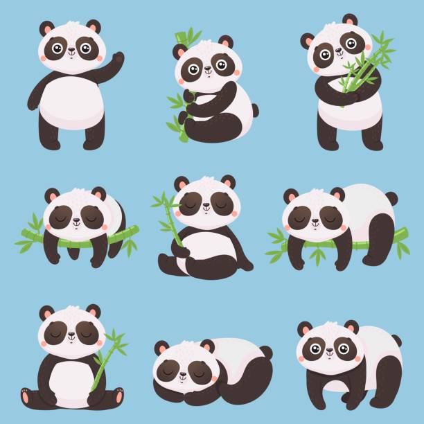 150 Sitting Chinese Panda Bear Animal Cartoon Character Vector Illustration  Illustrations & Clip Art - iStock