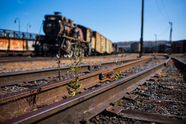 Vintage train cars and locomotives, covered in rust and are in disrepair, rest on tracks in Scranton, PA, USA. stock photo