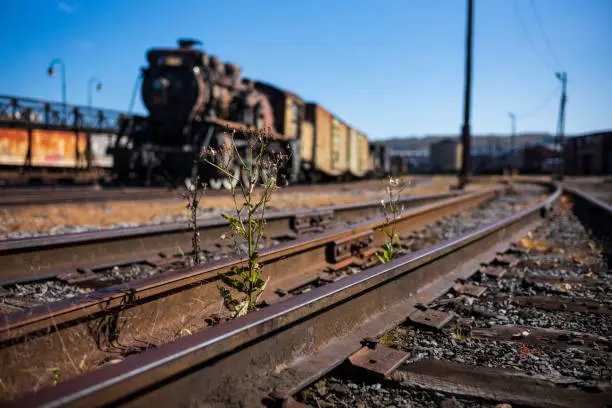 Vintage train cars and locomotives, covered in rust and are in disrepair, rest on tracks in Scranton, PA, USA.