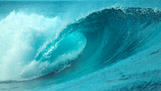 istock CLOSE UP: Powerful glistening barrel wave surges past a popular surf spot. 1182230521