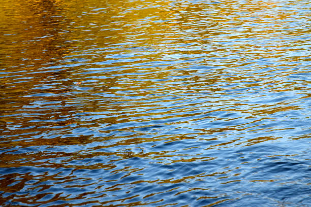 istock vibrant lake water 1182230626