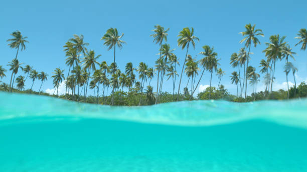istock HALF UNDERWATER: Glassy ocean water splashes over camera filming tropical island 1182230923