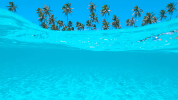 istock HALF UNDERWATER: Crystal clear ocean waves approach stunning shore in Thailand 1182231007
