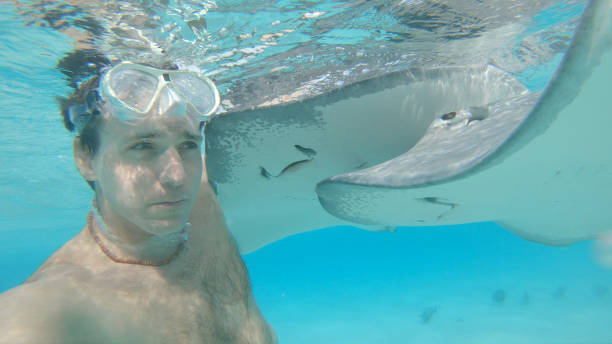 istock UNDERWATER: Smiling man takes a selfie with a stingray while diving in ocean. 1182231606