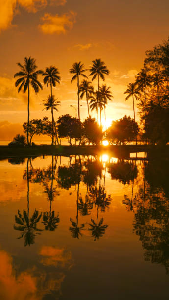 VERTICAL, AERIAL: Beautiful orange setting sun shining on palm trees and small lake overlooking the tropical beach in French Polynesia.