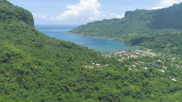 istock AERIAL: Flying over dense green forest surrounding remote village by the ocean. 1182231908