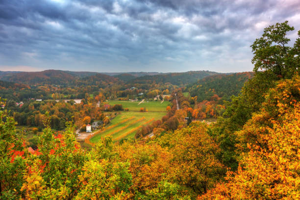 istock Beautiful autumnal landscape 1182235194