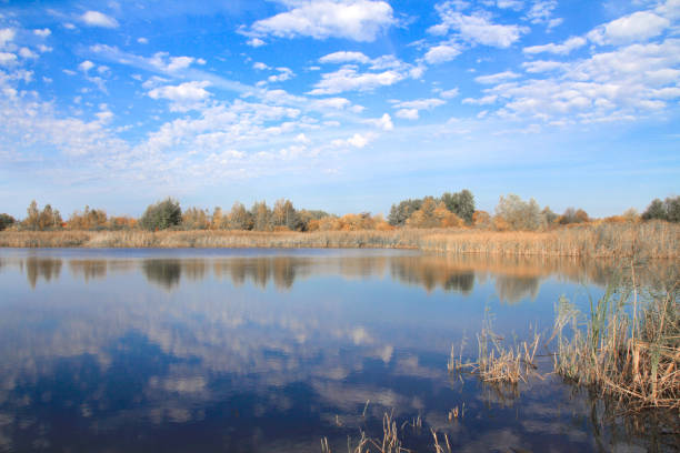 istock Lake in Europe 1182236194