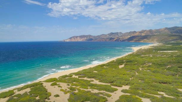 istock AERIAL: Flying over untouched wilderness and towards the stunning emerald ocean. 1182237664