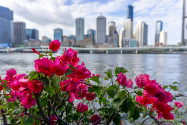 istock beautiful city view over the flowers 1182241793
