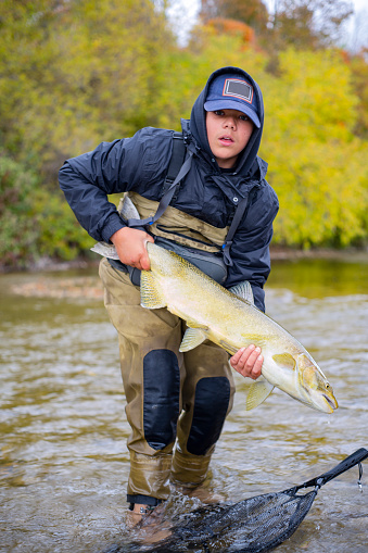 A young fly-fisherman fishing for salmon and trout in the fall.  He is holding a Chinook salmon in spawning colors.