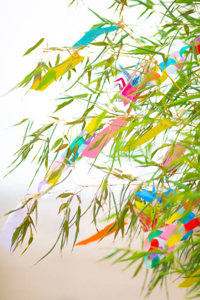 Japanese culture tanabata celebration