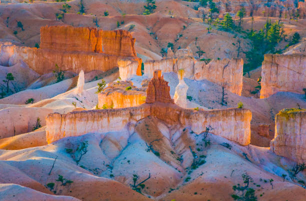 istock beautiful landscape in Bryce Canyon 1182244863