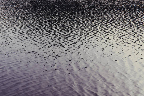istock Wavy water surface of lake or river ripple background 1182245087