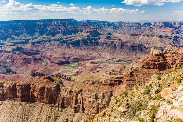 view into the grand canyon with river colorado view into the grand canyon with river colorado, USA yaki point stock pictures, royalty-free photos & images