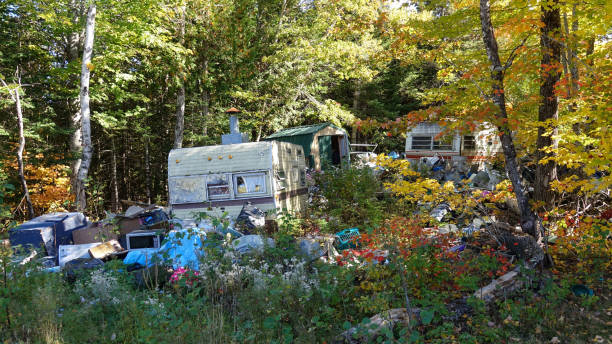 istock Autumn sun shines through tree canopies down on garbage and abandoned caravans 1182247700