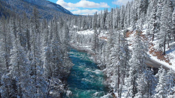 istock AERIAL: Emerald stream and road running through the snowy forest on sunny day. 1182247798