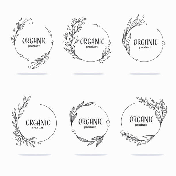 natur, bio, bio, natur doodle blumen hinterlassen embleme, rahmen und logo - curve decoration circle frame stock-grafiken, -clipart, -cartoons und -symbole