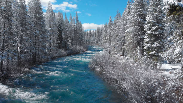 istock AERIAL: Spectacular emerald stream rushes through the idyllic snowy forest. 1182247981