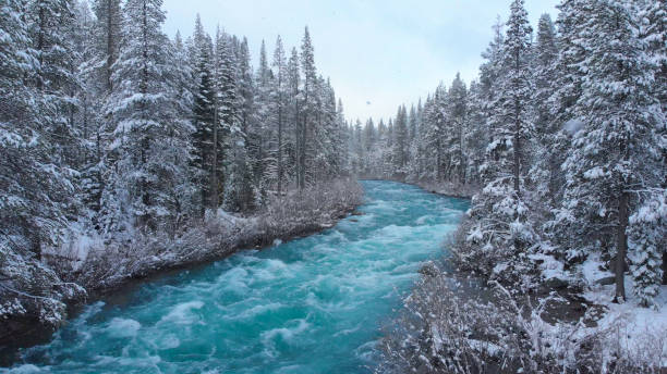 istock AERIAL: Whitewater rapids rush through the large coniferous forest on snowy day. 1182248762